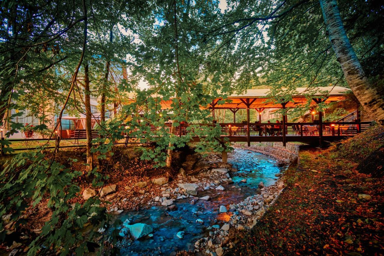 Hotel & Restaurant Sofia Sucevita Eksteriør bilde